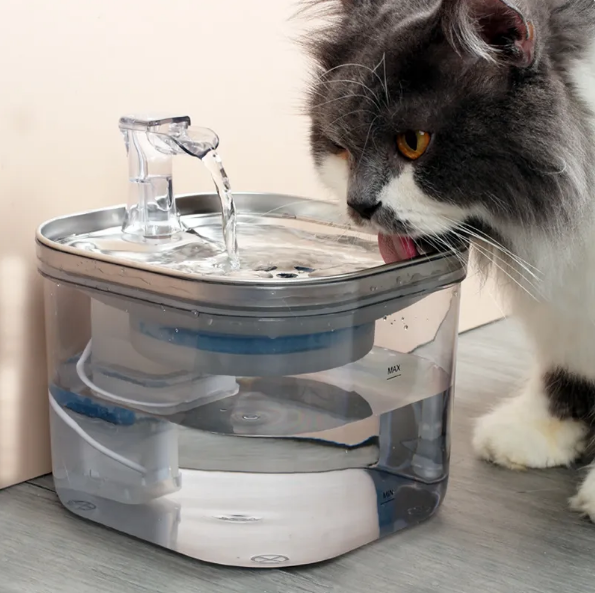 Fontaine à eau pour chat – Hydratation naturelle